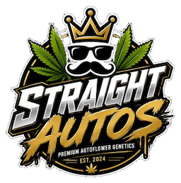 Straight Autos